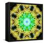 Flower Mandala-Alaya Gadeh-Framed Stretched Canvas