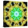 Flower Mandala-Alaya Gadeh-Stretched Canvas