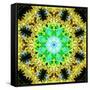 Flower Mandala-Alaya Gadeh-Framed Stretched Canvas