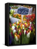 Flower Market, Amsterdam, Netherlands-Neil Farrin-Framed Stretched Canvas