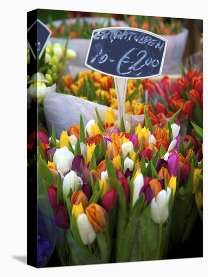 Flower Market, Amsterdam, Netherlands-Neil Farrin-Stretched Canvas