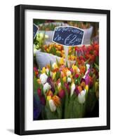 Flower Market, Amsterdam, Netherlands-Neil Farrin-Framed Photographic Print