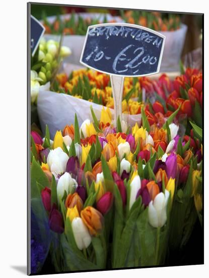 Flower Market, Amsterdam, Netherlands-Neil Farrin-Mounted Photographic Print