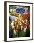 Flower Market, Amsterdam, Netherlands-Neil Farrin-Framed Photographic Print