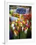 Flower Market, Amsterdam, Netherlands-Neil Farrin-Framed Photographic Print