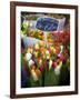 Flower Market, Amsterdam, Netherlands-Neil Farrin-Framed Photographic Print