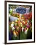 Flower Market, Amsterdam, Netherlands-Neil Farrin-Framed Photographic Print