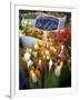 Flower Market, Amsterdam, Netherlands-Neil Farrin-Framed Photographic Print