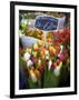 Flower Market, Amsterdam, Netherlands-Neil Farrin-Framed Photographic Print