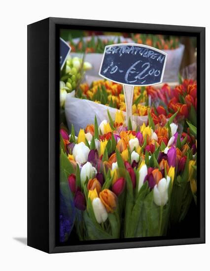 Flower Market, Amsterdam, Netherlands-Neil Farrin-Framed Stretched Canvas