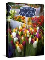 Flower Market, Amsterdam, Netherlands-Neil Farrin-Stretched Canvas