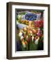 Flower Market, Amsterdam, Netherlands-Neil Farrin-Framed Photographic Print