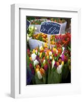 Flower Market, Amsterdam, Netherlands-Neil Farrin-Framed Photographic Print