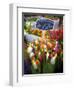 Flower Market, Amsterdam, Netherlands-Neil Farrin-Framed Photographic Print