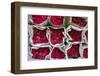 Flower Market, Bangkok, Thailand-Jon Arnold-Framed Photographic Print