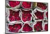 Flower Market, Bangkok, Thailand-Jon Arnold-Mounted Photographic Print