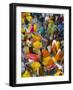 Flower Market, Calcutta, West Bengal, India-Peter Adams-Framed Photographic Print