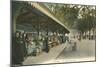 Flower Market, Cannes, France-null-Mounted Art Print