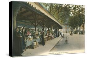 Flower Market, Cannes, France-null-Stretched Canvas