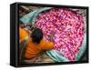 Flower Market, Kolkata (Calcutta), India-Peter Adams-Framed Stretched Canvas