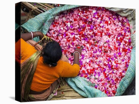 Flower Market, Kolkata (Calcutta), India-Peter Adams-Stretched Canvas