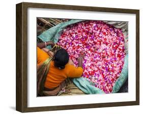 Flower Market, Kolkata (Calcutta), India-Peter Adams-Framed Photographic Print