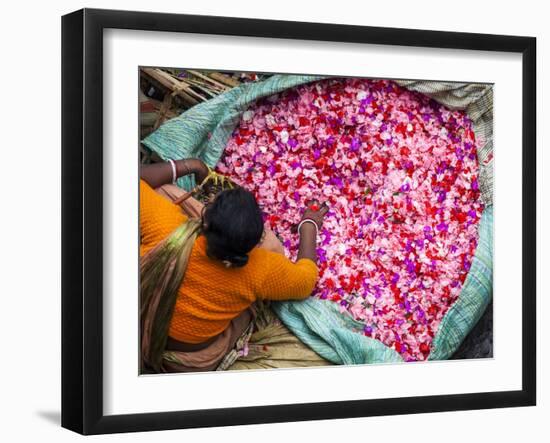 Flower Market, Kolkata (Calcutta), India-Peter Adams-Framed Photographic Print