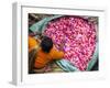 Flower Market, Kolkata (Calcutta), India-Peter Adams-Framed Photographic Print