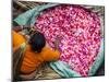 Flower Market, Kolkata (Calcutta), India-Peter Adams-Mounted Photographic Print
