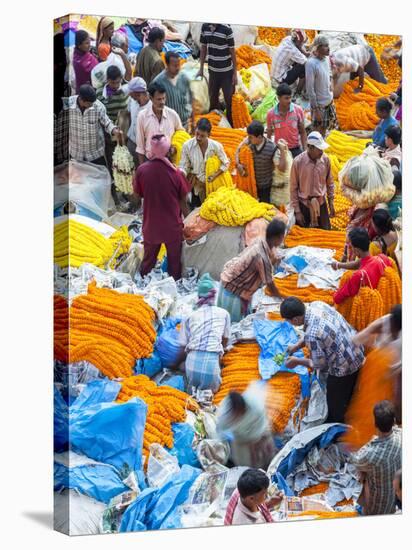 Flower Market, Kolkata (Calcutta), India-Peter Adams-Stretched Canvas