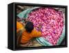 Flower Market, Kolkata (Calcutta), India-Peter Adams-Framed Stretched Canvas