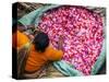 Flower Market, Kolkata (Calcutta), India-Peter Adams-Stretched Canvas