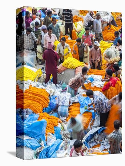 Flower Market, Kolkata (Calcutta), India-Peter Adams-Stretched Canvas