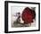 Flower Market, Lado Sarai, Delhi, India-John Henry Claude Wilson-Framed Photographic Print