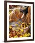 Flower Market, Lado Sarai, Delhi, India-John Henry Claude Wilson-Framed Photographic Print