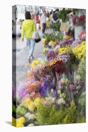 Flower Market, Mongkok, Kowloon, Hong Kong, China, Asia-Ian Trower-Stretched Canvas