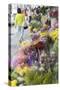 Flower Market, Mongkok, Kowloon, Hong Kong, China, Asia-Ian Trower-Stretched Canvas