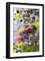 Flower Market, Mongkok, Kowloon, Hong Kong, China, Asia-Ian Trower-Framed Photographic Print