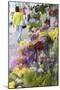 Flower Market, Mongkok, Kowloon, Hong Kong, China, Asia-Ian Trower-Mounted Photographic Print