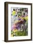 Flower Market, Mongkok, Kowloon, Hong Kong, China, Asia-Ian Trower-Framed Photographic Print