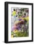 Flower Market, Mongkok, Kowloon, Hong Kong, China, Asia-Ian Trower-Framed Photographic Print