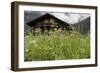 Flower Meadow, Farmhouse-Roland T.-Framed Photographic Print