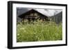 Flower Meadow, Farmhouse-Roland T.-Framed Photographic Print