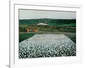 Flower Meadow in the North, 1905 (Oil on Canvas)-Harald Oscar Sohlberg-Framed Giclee Print