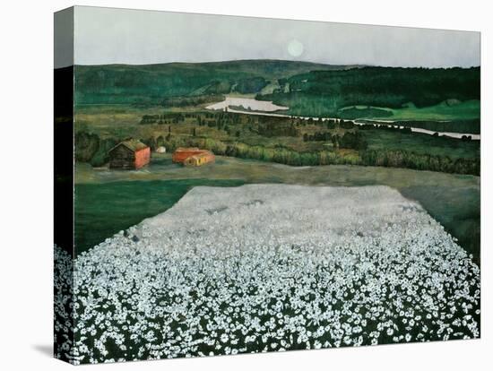 Flower Meadow in the North-Harald Sohlberg-Stretched Canvas