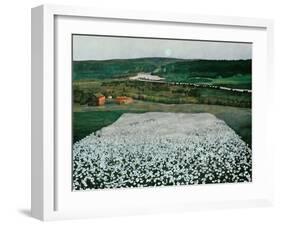 Flower Meadow in the North-Harald Sohlberg-Framed Giclee Print