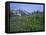 Flower Meadow, Mount Revelstoke National Park, Rocky Mountains, British Columbia (B.C.), Canada-Geoff Renner-Framed Stretched Canvas