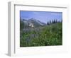 Flower Meadow, Mount Revelstoke National Park, Rocky Mountains, British Columbia (B.C.), Canada-Geoff Renner-Framed Photographic Print