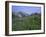 Flower Meadow, Mount Revelstoke National Park, Rocky Mountains, British Columbia (B.C.), Canada-Geoff Renner-Framed Photographic Print