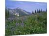 Flower Meadow, Mount Revelstoke National Park, Rocky Mountains, British Columbia (B.C.), Canada-Geoff Renner-Mounted Photographic Print